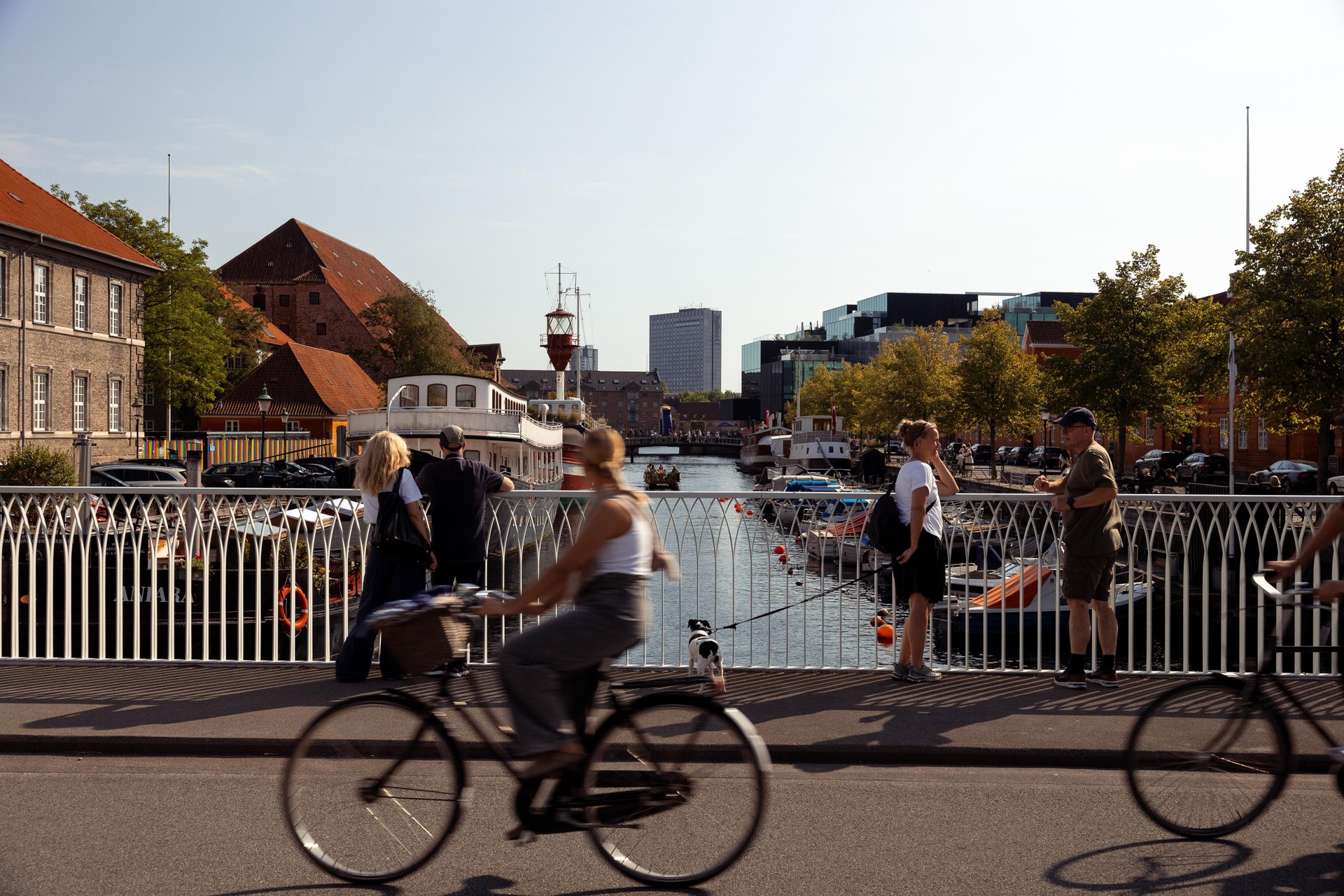 Cycling in Copenhagen