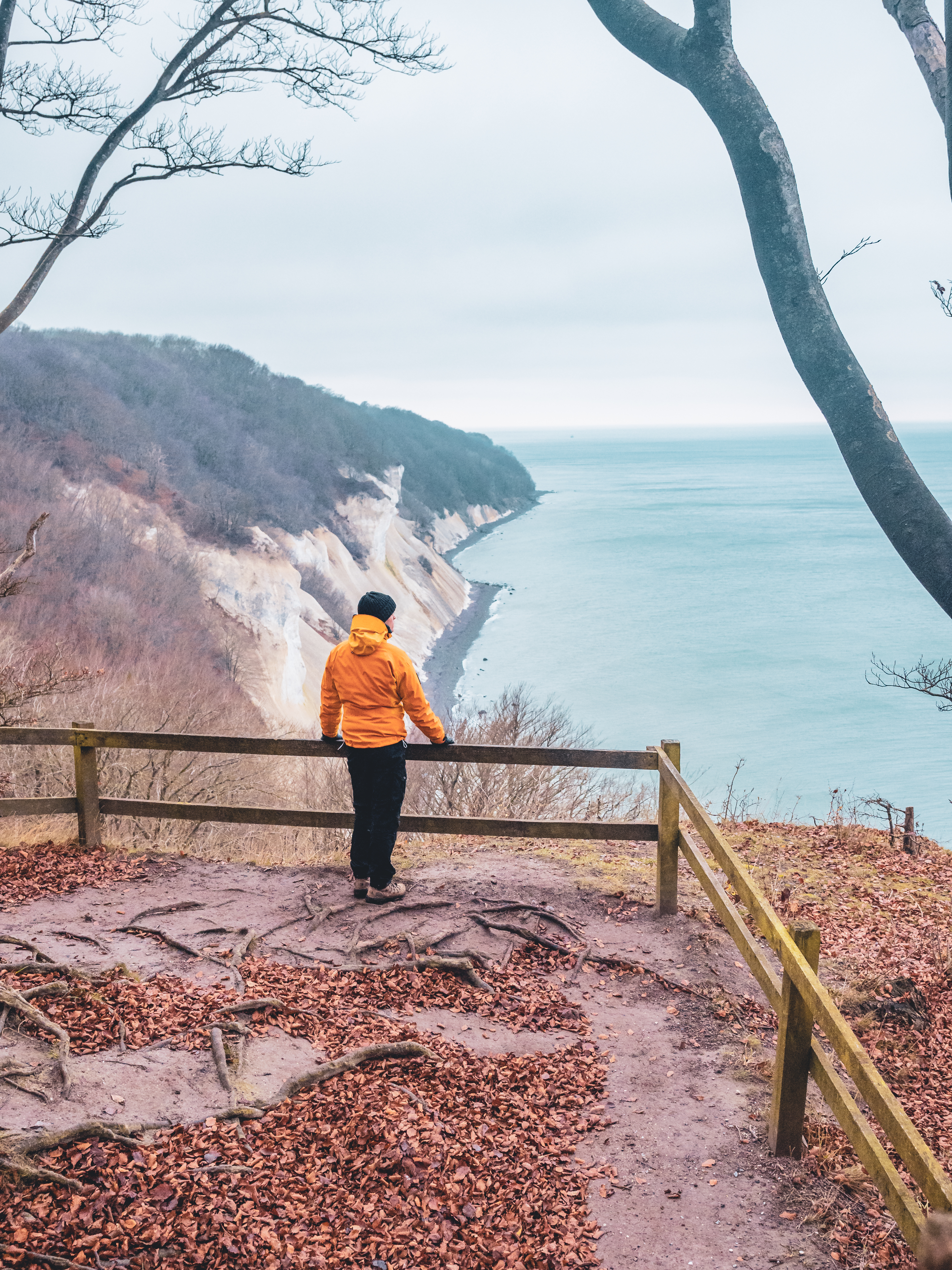 Man looking over Moens Klint