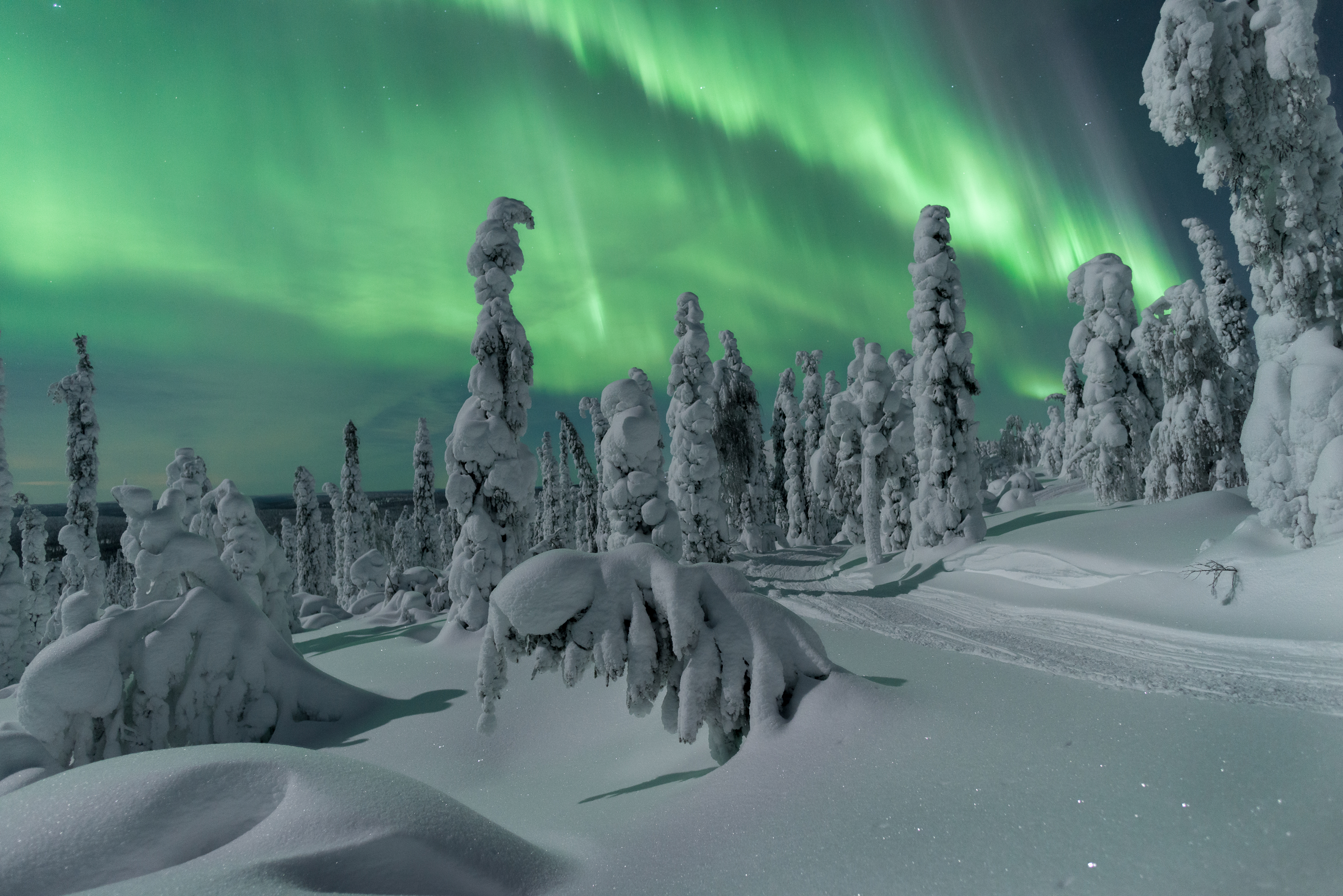 Northern Lights Finland 