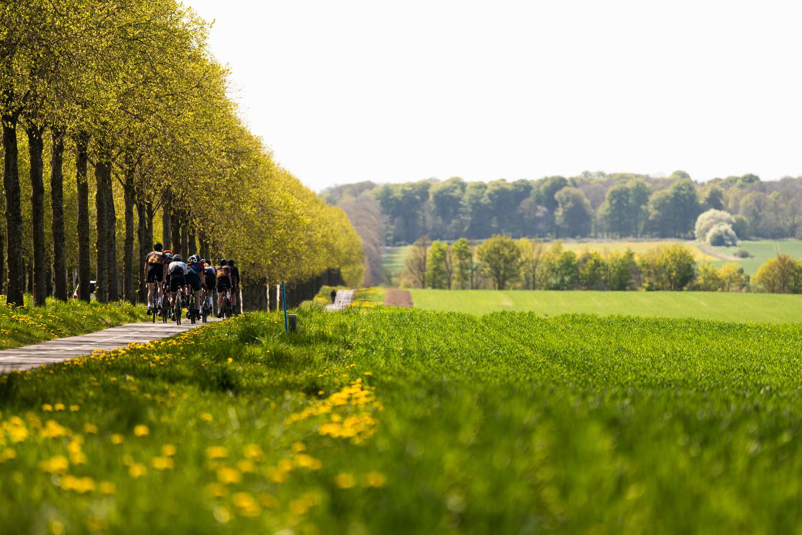 Cycling in Lejre