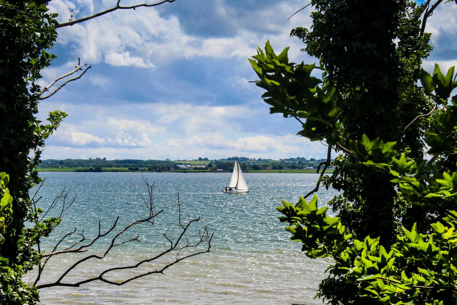 horsens fjord