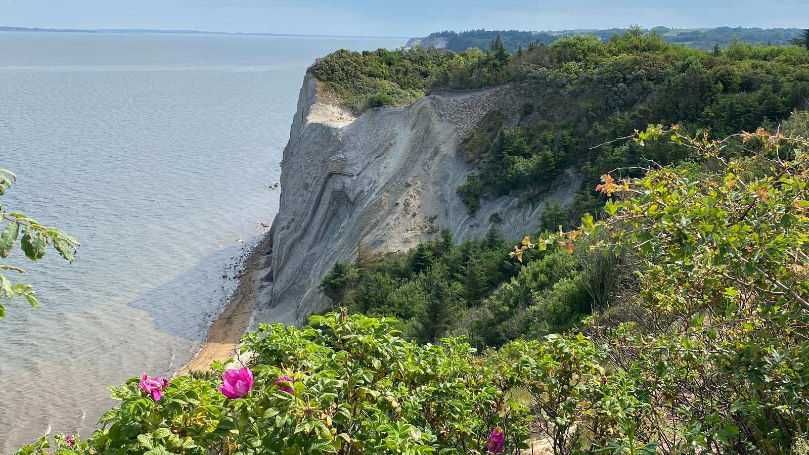 Knudeklinten Limfjorden