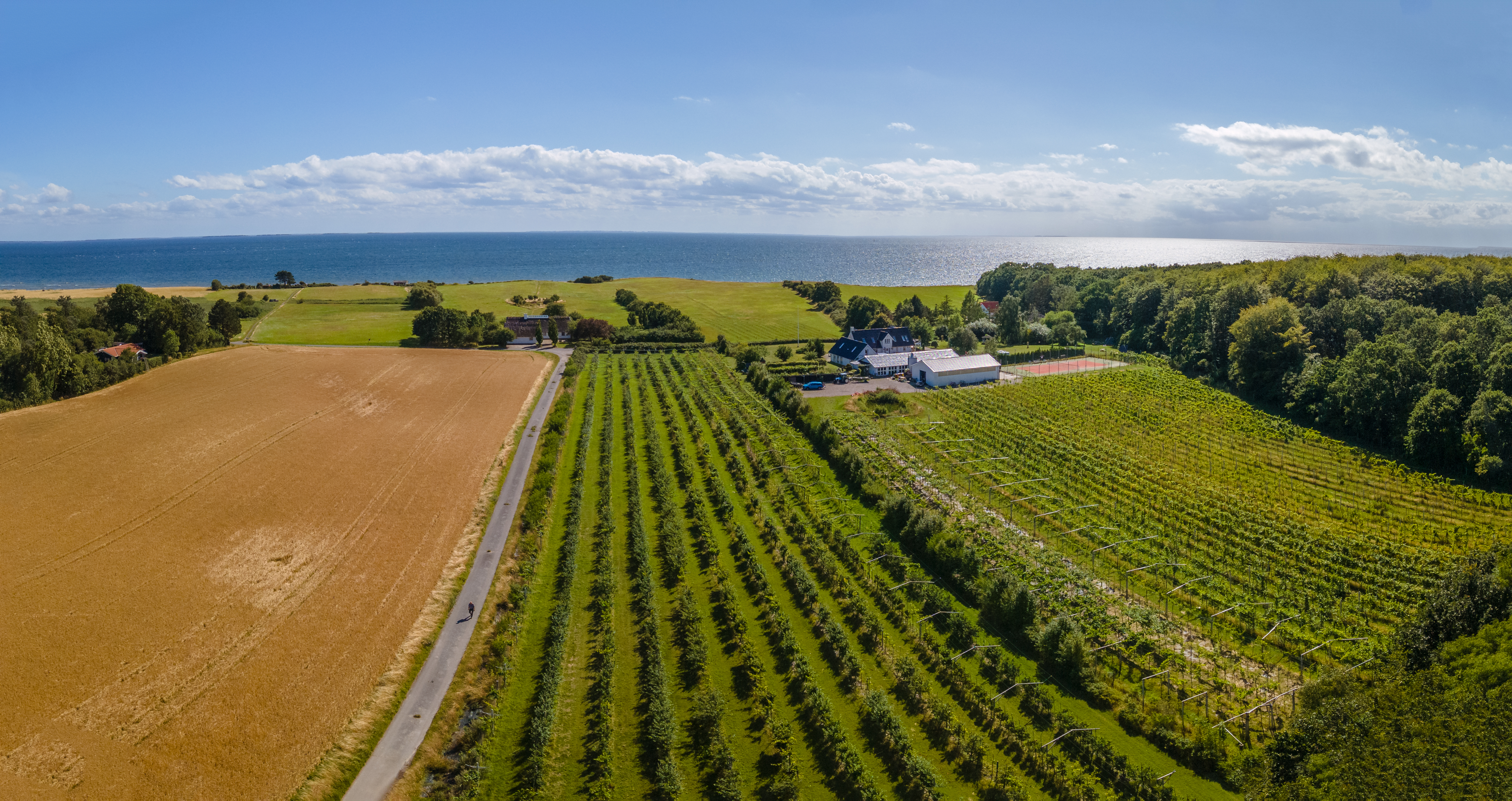 Ein Bild von Vesterhavegaarden Vingård