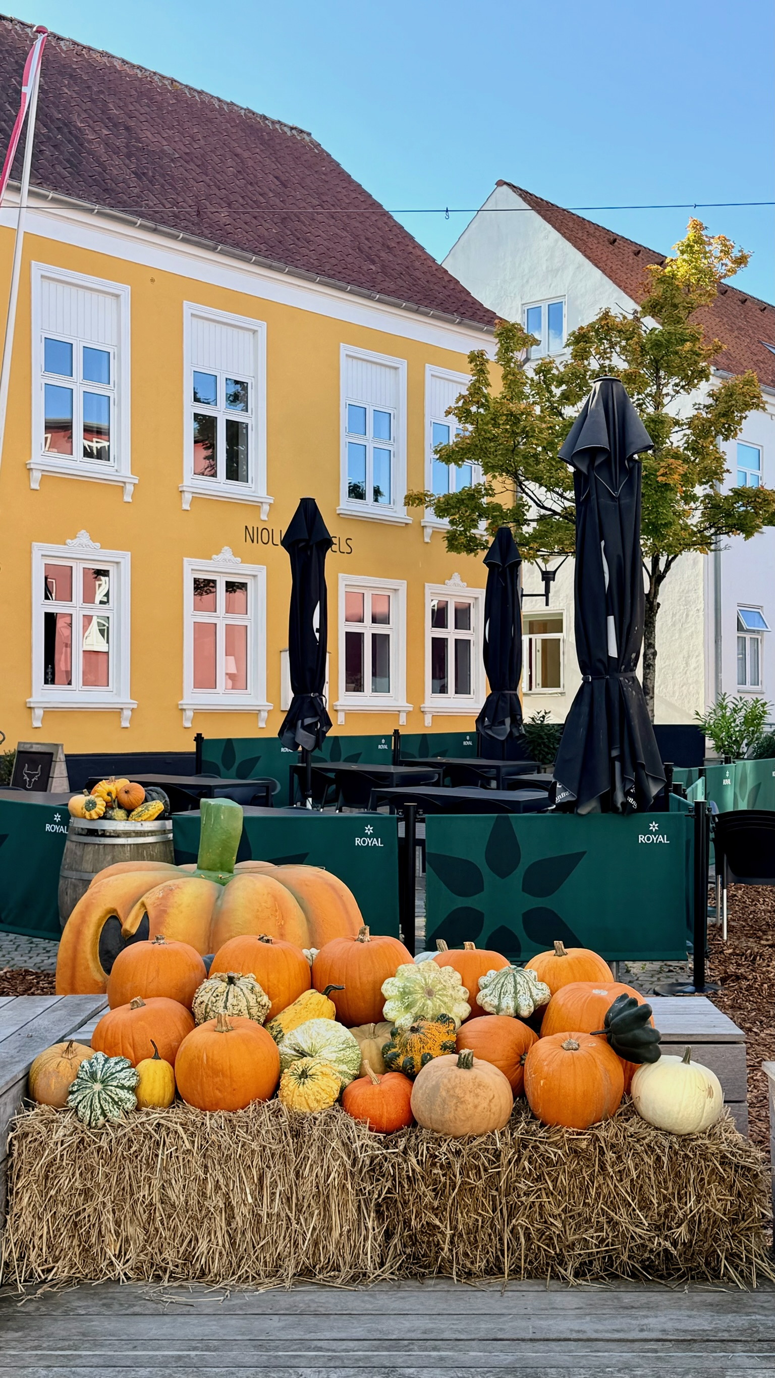 Jylland sjarmerende småbyer