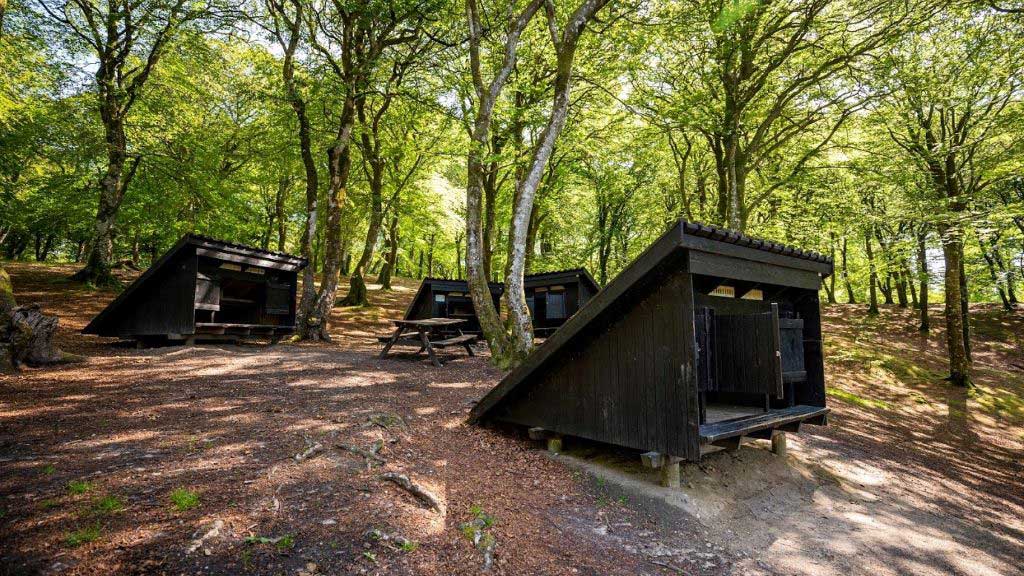 Denmark's most stunning wild shelters VisitDenmark