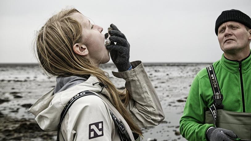 An girl eats a fresh oyster at the Wadden Sea National Park in Denmark