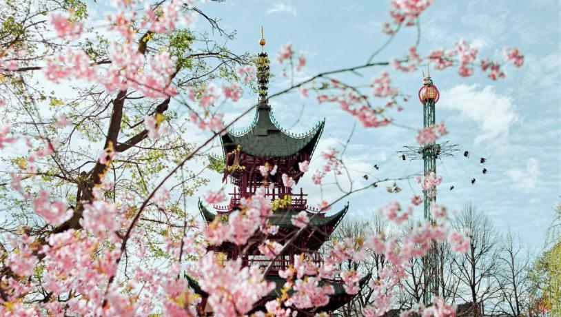 Tivoli Japanese Tower and The Golden Tower in spring