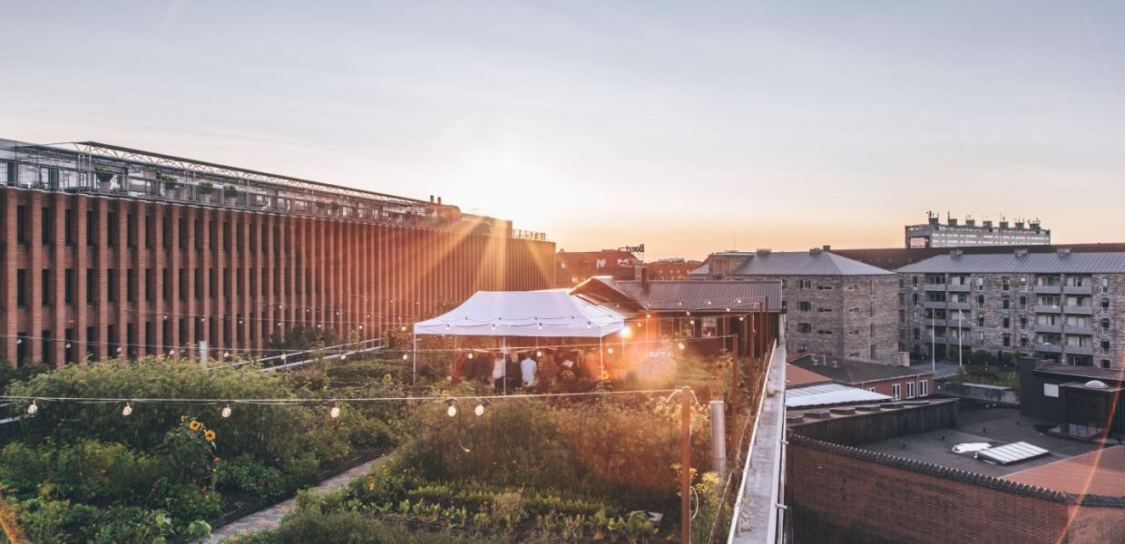 Tagterasse Gro Spiseri København 