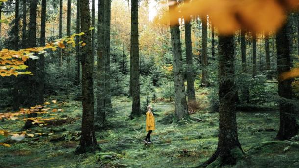 Girl in Rold Forest in autumn