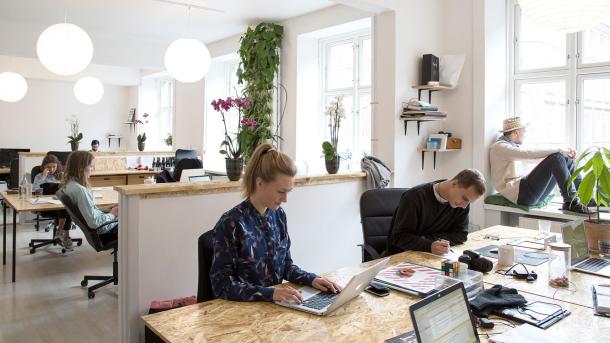 Greencubator, a co-working space in Copenhagen