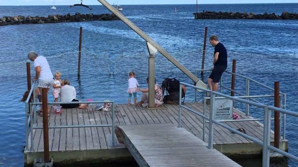 A family enjoys the Hou Harbour Bath in Denmark