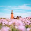 A lighthouse in a summer landscape full of flowers, bovbjergfyr, Denmark