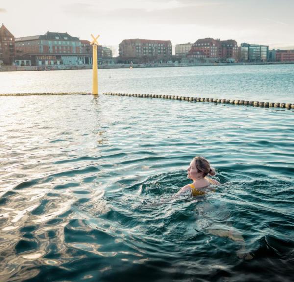 Winter swimming in Copenhagen, Kalvebod Brygge