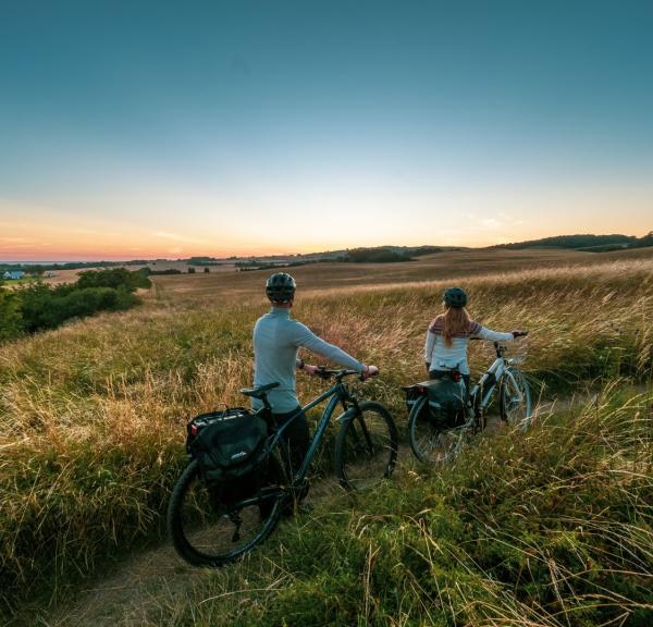 A couple with the bikes, walking across a field during sunset, Møn