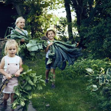Kinder mit ihrer Ernte in Nordjütland