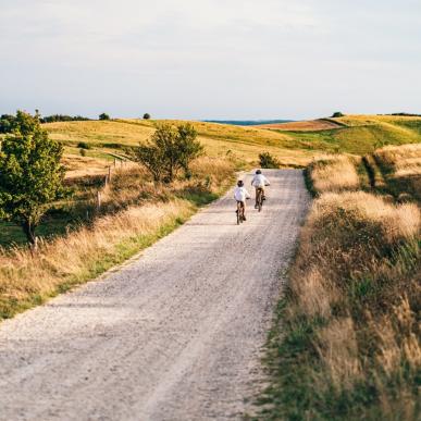 Barn som sykler på familieferie i Aarhusregionen