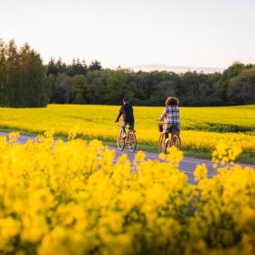 Cycling in Fjordlandet, Denmark