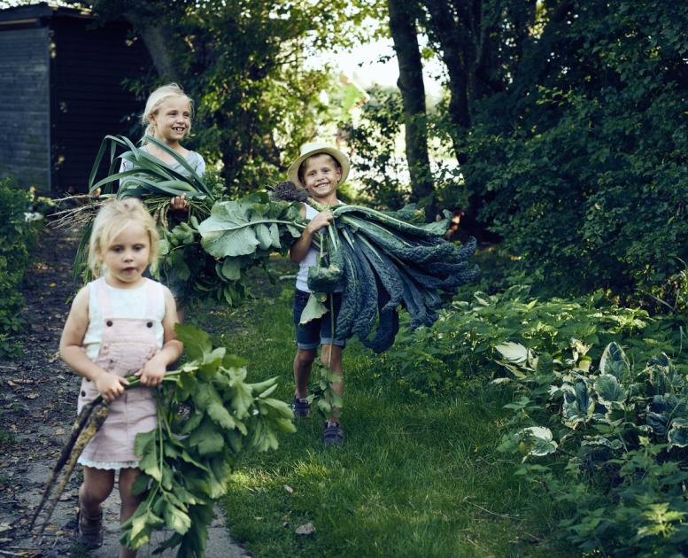 Kinder mit ihrer Ernte in Nordjütland