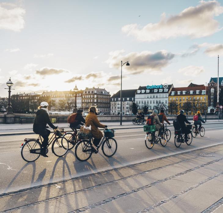 Queen Louise's Bridge Copenhagen Biking