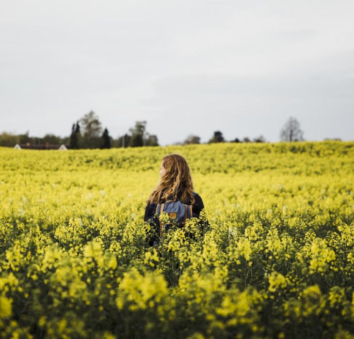 Woman walking in a field of bright yellow flowers